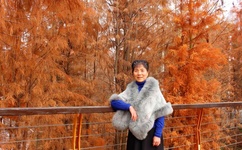 动态图27男舔女